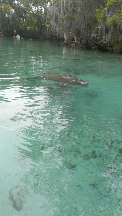 Three Sisters Springs