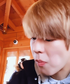 Hungry Puppy