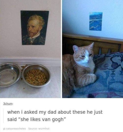 sartle-blog:Don’t be mad cuz this cat’s house has better art than yours. ⁣ ⁣ ⁣ ⁣ Follow 