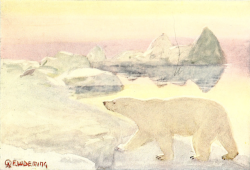 nemfrog:Polar bear. American animal life. 1918.  fuck