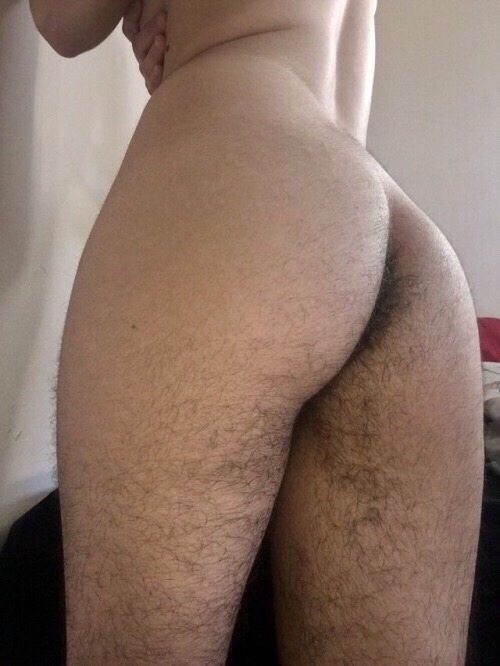 hairyhariest: I just love it.