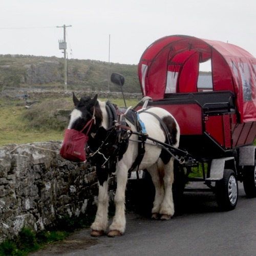 Tourist Transport, Inishmore, Aran Islands, County Galway, Ireland, 2013.