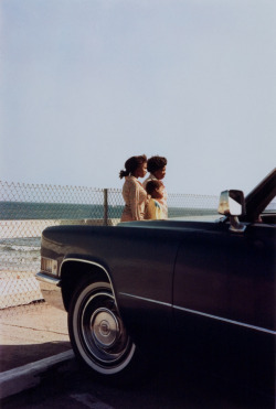 amo-c:  20aliens:William Eggleston   follow for more 