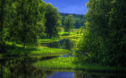 allthingseurope:   	Österdal River, Sweden