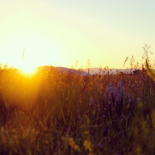 Such a beautiful way to start the day! #jacksonhole #sunrise #wideopenspaces (at Grand Teton Nationa