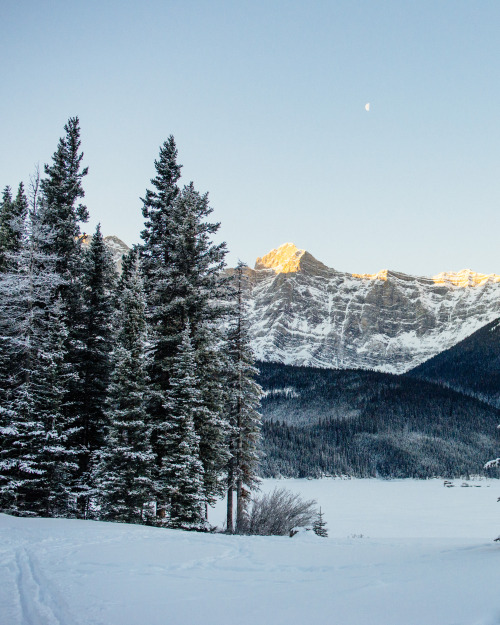 Kananaskis in the morning.