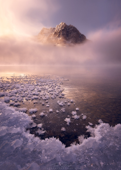 sitoutside:   BowFrost_06   by  Ted Gore Photography  