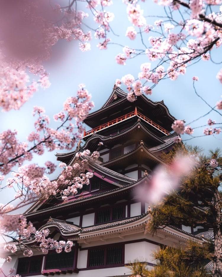 My past week on Japan
