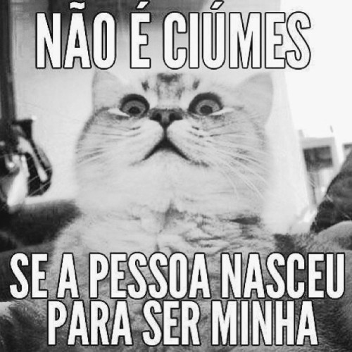 amor, amor e mais amor