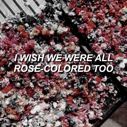 abscntlovers:  Rose-Colored Boy // Paramore