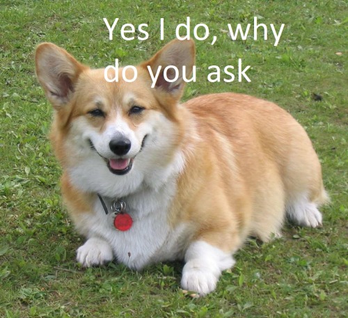tastefullyoffensive:(via Lentic)