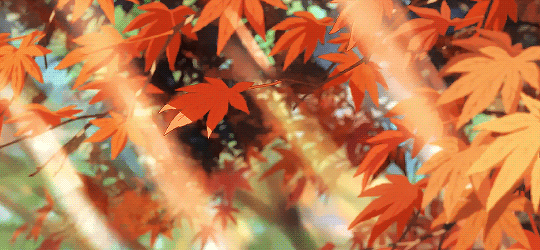 Aesthetic Anime Autumn Wallpapers - Wallpaper Cave