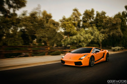 desertmotors:  Lamborghini Gallardo Superleggera