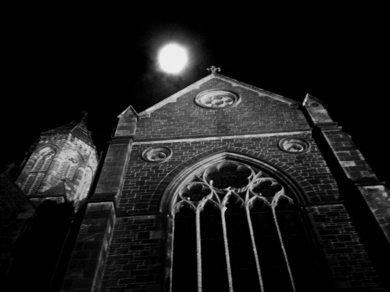 malicelooming:  Photograph taken by me. In Adelaide, Australia.