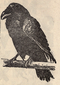 nemfrog:“R is a raven perched on an oak/ Who with a rough voice cries croak, croak, croak!” Mother Goose’s nursery rhymes, tales and jingles. 1902. 