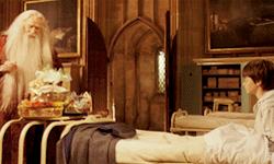 shieldmaidenofrohann:  Books:Harry Potter and Philosopher’s Stone [1/7]Chapter 