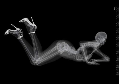 honey-dripped:  asgardreid:  spinesaw:  the-butt-prince-ike:  scienceisbeauty:  This is a classic `nude calendar´ when you extract everything which transparent to X-Rays, i.e. all the flesh, and therefore any remaining sensuality. Via Tha Mary Sue: “This