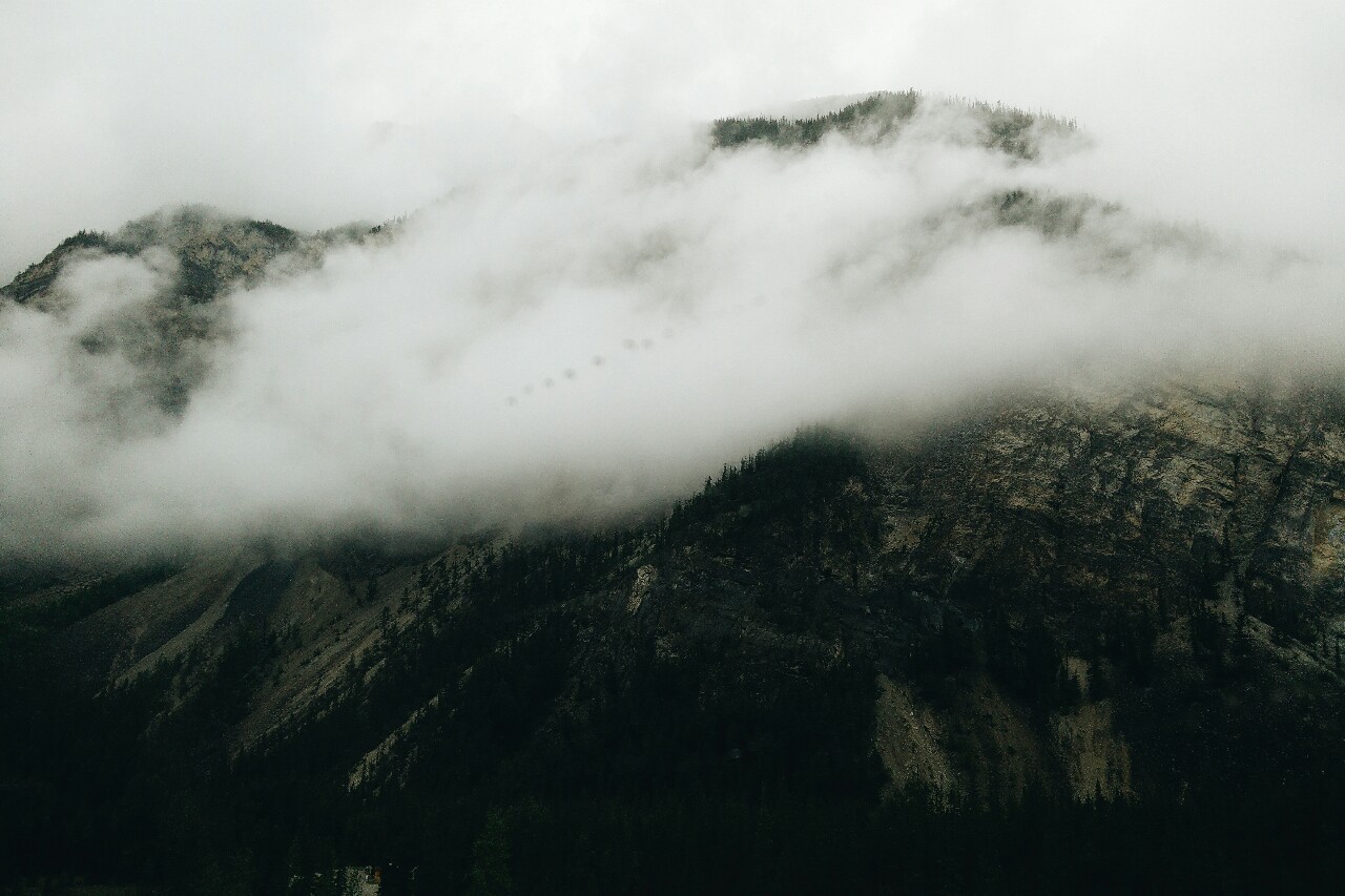 snorkeldink:  Mountain mist 