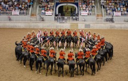 A Serge Of Scarlet (The Rcmp Musical Ride Equestrian Precision Drill Team Create