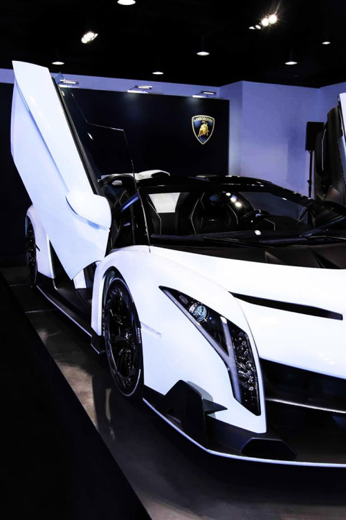  The first white Veneno | © | AOI 