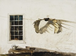 crystalline-aesthetics: Andrew Wyeth The