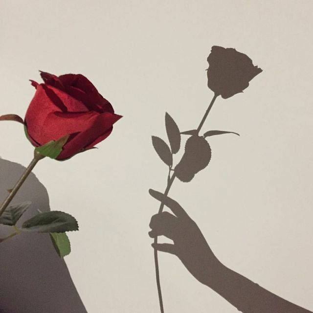 شكرا Explore Tumblr Posts And Blogs Tumgir
