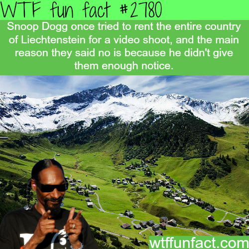 wtf-fun-factss:  Snoop Dogg tried to rent a whole country - WTF fun facts