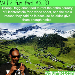 Wtf-Fun-Factss:  Snoop Dogg Tried To Rent A Whole Country - Wtf Fun Facts