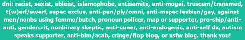 neopronouns: combo of the transhet and enbyhet flags! for transenbyhets/enbytranshets,  trans enbyhe