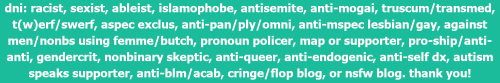 neopronouns: an alternate lesbiflux flag based on the aurora lesbian flag for anon!flag id: a flag w