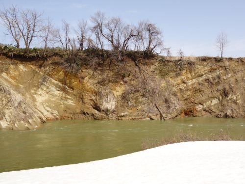 happy-geology:The axis of an asymmetrical syncline; here involved are Lower Pleistocene fluvial depo