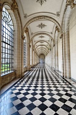 ghostlywriterr:    Château de Chenonceau. France  