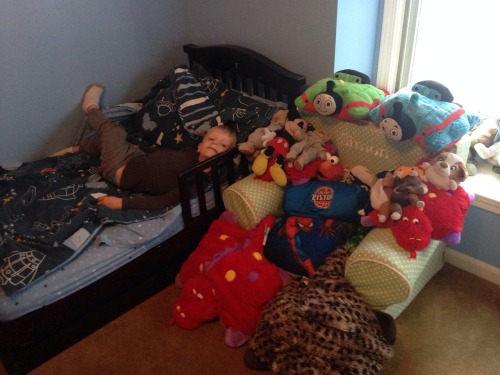 The plus side of an OCD child… He sees all the stuffed animals in the hallway and takes it upon himself to reorganize them and find each and ever one a home.