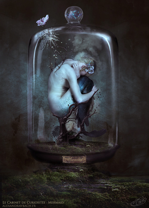 beautifulbizarremag:  WOW amazing new digital photomanipulation by Alexandra V Bach﻿, ‘Le Cabinet de Curiosites - The Mermaid