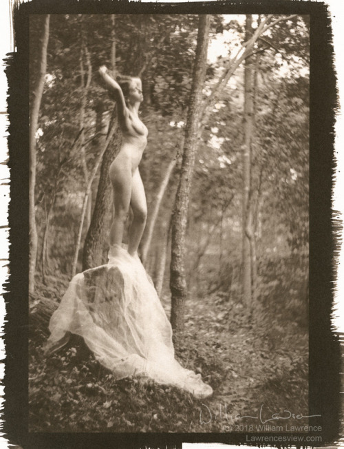 The Abandoned Angel, with @melancholic-model. Palladium-toned kallitype.  I had started this last ye