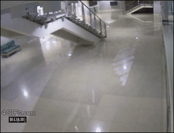 sigsauer-ist:higgins34:inwhichifeelallthefeels:4gifs:Cat destroys roof at Olympic arena. [video]THES