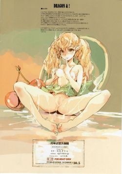 (C84) [The Eternal Organ from 70&rsquo;s Generation (Ohagi-san)] D&amp;! -DRAGON &amp; ! (Dragon&rsquo;s Crown)