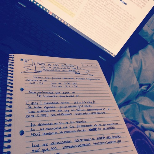 Studying While Rain Plays Lullaby Songs