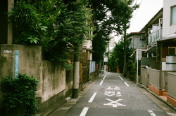 matsphoto:  2013.7 Mejiro, Tokyo [Canon L2