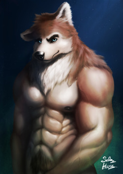 hanukamiart:   Blue eyes Brown wolf   Furaffinity