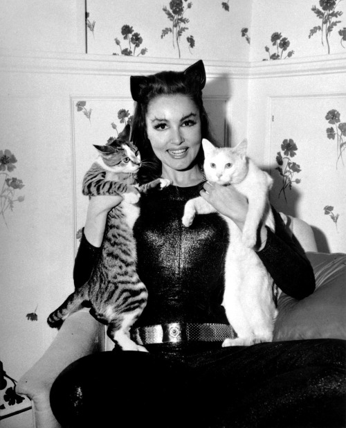 peoplewithcats:Julie Newmar