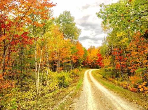 Not badA US Forest Service worker took this picture near the peak of fall colors in Maine in Mooseho