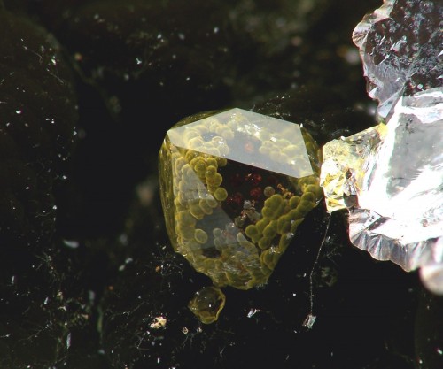 themineralogist:Goethite in QuartzVery small spheres of yellow iridescent goethite included in quart