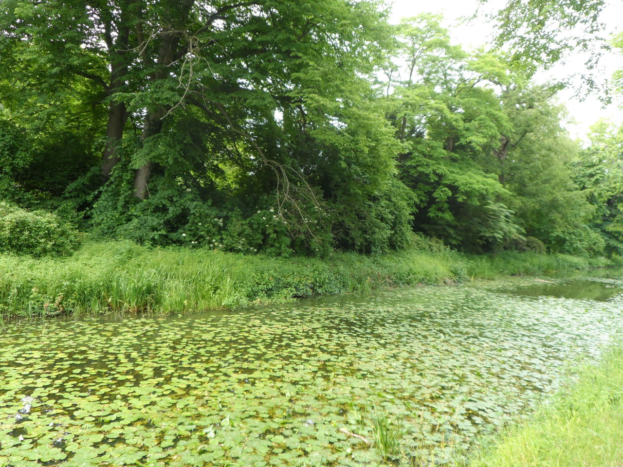 iwishiwasafairy:    Vallø Slot, Denmark   