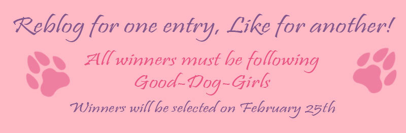 Presenting:Good-Dog-Girls’ 2000 Follower GiveawayTo Celebrate getting over 2000