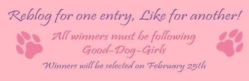 good-dog-girls:Presenting:Good-Dog-Girls’ 2000 Follower GiveawayTo Celebrate getting over 2000 follo