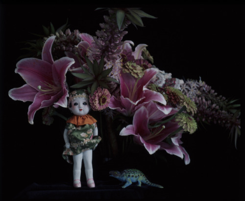 wouwiuwa: Nobuyoshi Araki /// Flowers 1985-2008