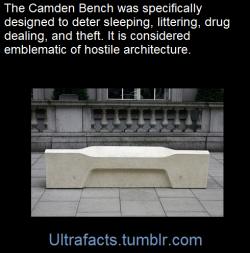 Ultrafacts:   The Camden Bench Evolved From Designs Developed For Camden Borough