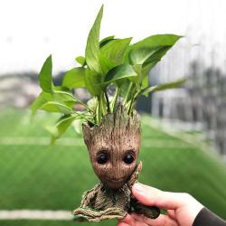 goldjackface: scentedfreakcowboyturtle:  introvertpalaceus:  Need an Amazing Home Decor concept? Try Baby Groot. Perfect gift for that special someone.  Check it out here =&gt; HERE  Use discount code: Groot to get 10% off.    Want!!!!    VERRRRRRYYYYY