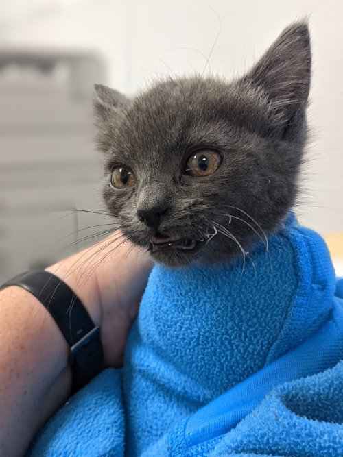 catsbeaversandducks:  “I just started the engine when I saw the note. She’s a